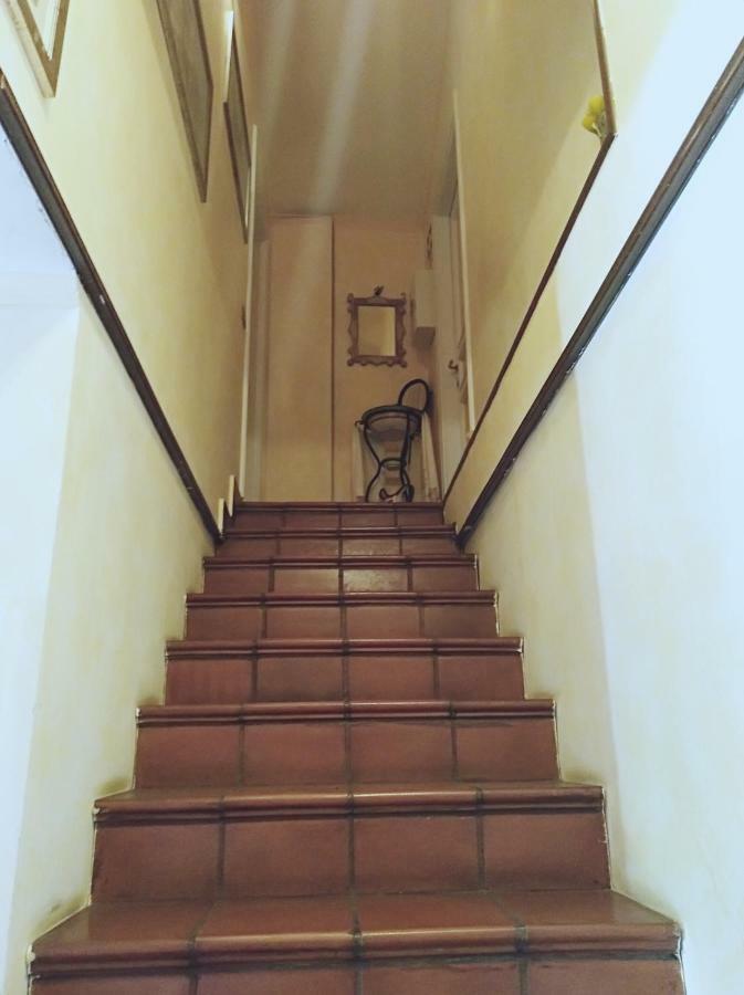 Luxury Apartment Magnolia Terrace 弗雷杰内 外观 照片